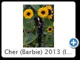 Cher (Barbie) 2013 (IMG 1217)