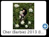 Cher (Barbie) 2013 (IMG 4980)