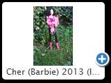 Cher (Barbie) 2013 (IMG 6193)