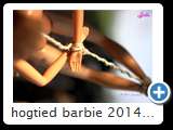 hogtied barbie 2014 (img 6222)