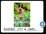barbie 2014 (img 6824)