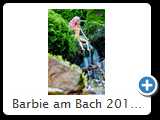 Barbie am Bach 2014 (hdr_003_)