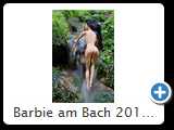 Barbie am Bach 2014 (HDR_7313_2)