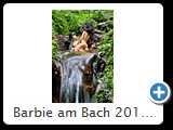 Barbie am Bach 2014 (HDR_7355_2)