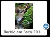 Barbie am Bach 2014 (IMG_7293)