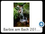 Barbie am Bach 2014 (IMG_7604)