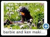barbie and ken makin' love outdoor 2014 (img 5608)