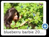 blueberry barbie 2014 (img 6814)