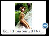 bound barbie 2014 (img 6172)