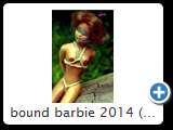 bound barbie 2014 (img 6173)