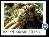 bound barbie 2014 (img 6182)