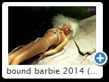 bound barbie 2014 (img 6188)