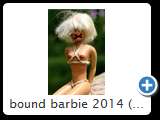 bound barbie 2014 (img 6191)