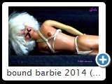 bound barbie 2014 (img 6198)