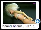 bound barbie 2014 (img 6201)