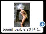 bound barbie 2014 (img 6204)