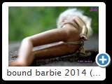 bound barbie 2014 (img 6208)