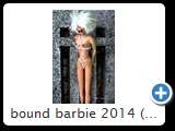 bound barbie 2014 (img 6247)