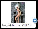 bound barbie 2014 (img 6248)