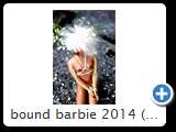 bound barbie 2014 (img 6255)