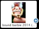 bound barbie 2014 (img 6263)