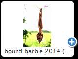 bound barbie 2014 (img 6282)