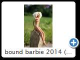 bound barbie 2014 (img 6298)