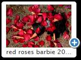 red roses barbie 2014 (img 7183)