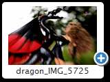 dragon_IMG_5725