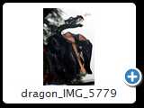 dragon_IMG_5779