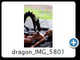 dragon_IMG_5801