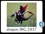 dragon_IMG_5837