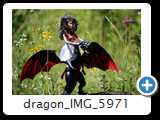 dragon_IMG_5971