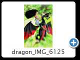 dragon_IMG_6125
