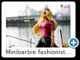 Minibarbie fashionistas 2014 (3872)