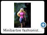 Minibarbie fashionistas 2014 (5324)