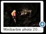 Minibarbie photo 2012 (3777)