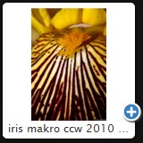 iris makro ccw 2010 17
