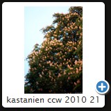 kastanien ccw 2010 21