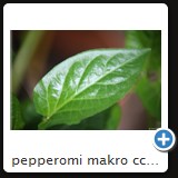 pepperomi makro ccw 2010 06