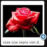 rose ccw repro von dia 1975 01