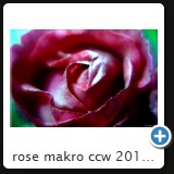 rose makro ccw 2010 10