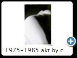 1975-1985 akt by ccw detail 0011
