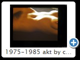 1975-1985 akt by ccw detail 0012
