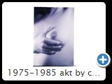 1975-1985 akt by ccw detail 0017