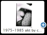 1975-1985 akt by ccw detail 0022