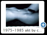 1975-1985 akt by ccw detail 0023