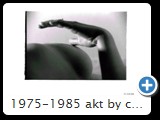 1975-1985 akt by ccw detail 0024
