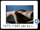 1975-1985 akt by ccw detail 0025