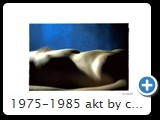 1975-1985 akt by ccw detail 0026